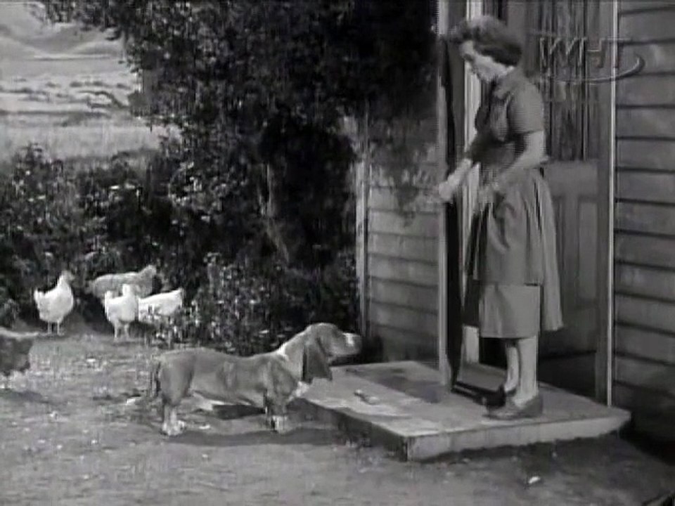 Lassie  S02e19  Pokey