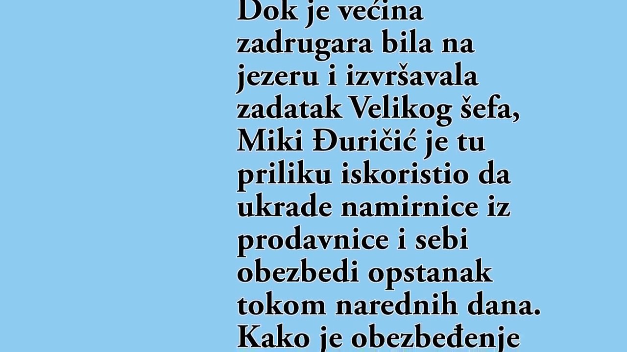 BEKSTVO  Mikija JURI OBEZBEDJENJE