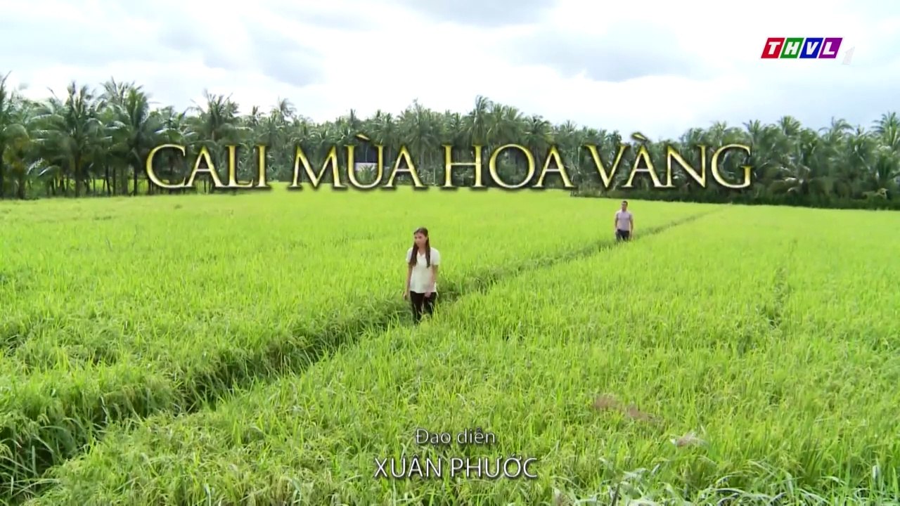 Cali Mùa Hoa Vàng Tập 24 - Phim Việt Nam