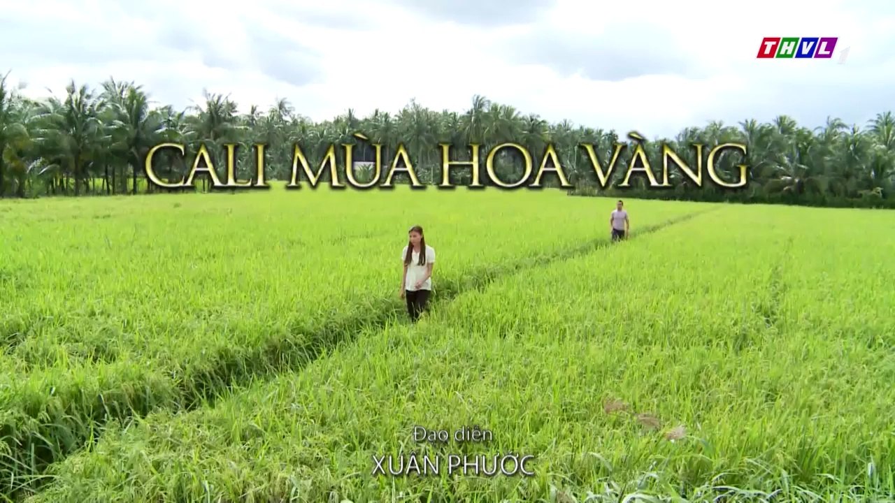 Cali Mùa Hoa Vàng Tập 22 - Phim Việt Nam
