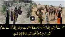Water equal to gold in Thar desert, water tanks below land are locked intentionally