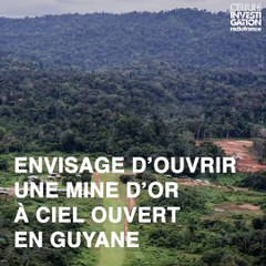 Montagne d’or, le mauvais exemple guinéen