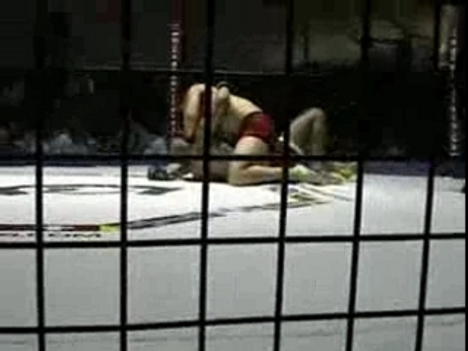 Extreme brawl 7