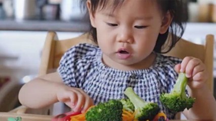 ¿Se puede meter la vajilla infantil en el lavaplatos?