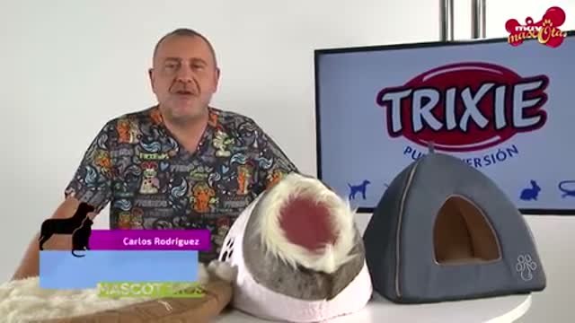 Las mejores camas para gatos