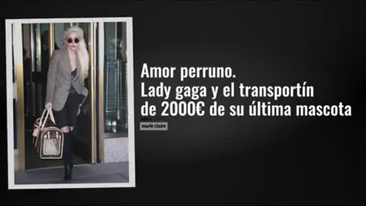 amor perruno lady gaga y el transportin de 2000euros de su ultima mascota