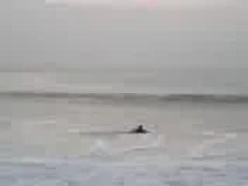 ...La piste.....