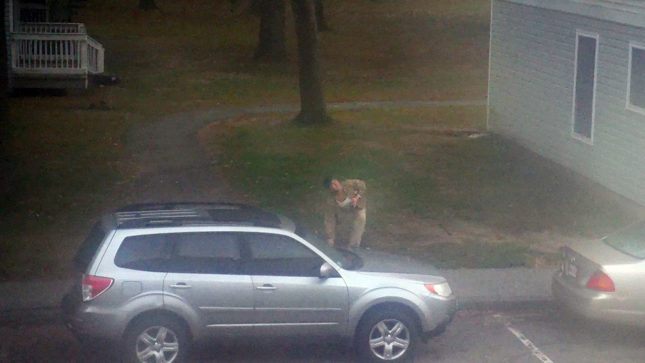 Man Vs Squirrel