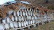 Bitlis'in Hizan İlçesinde Üretilen Karakovan Balı İlçe Ekonomisine Yaklaşık Bir Milyon Lira Katkı Sağlıyor