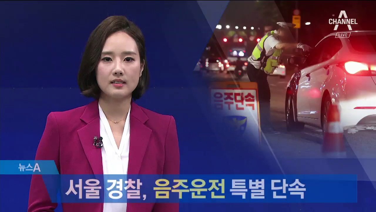 서울 경찰, 홍대·이태원 등 음주운전 특별 단속