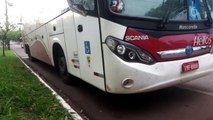 Ônibus é alvo de assaltantes na BR-369; caso foi registrado na 15ª SDP