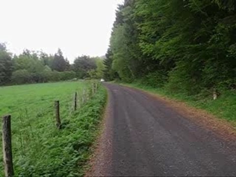 quelques amis de la atz