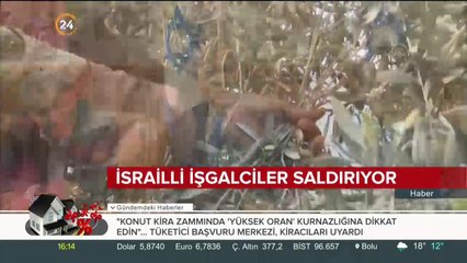 Yağmacılar gelmeden hasat telaşı