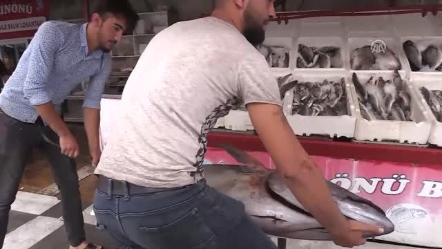 Şanlıurfa'da Orkinos Balığı Şaşkınlığı