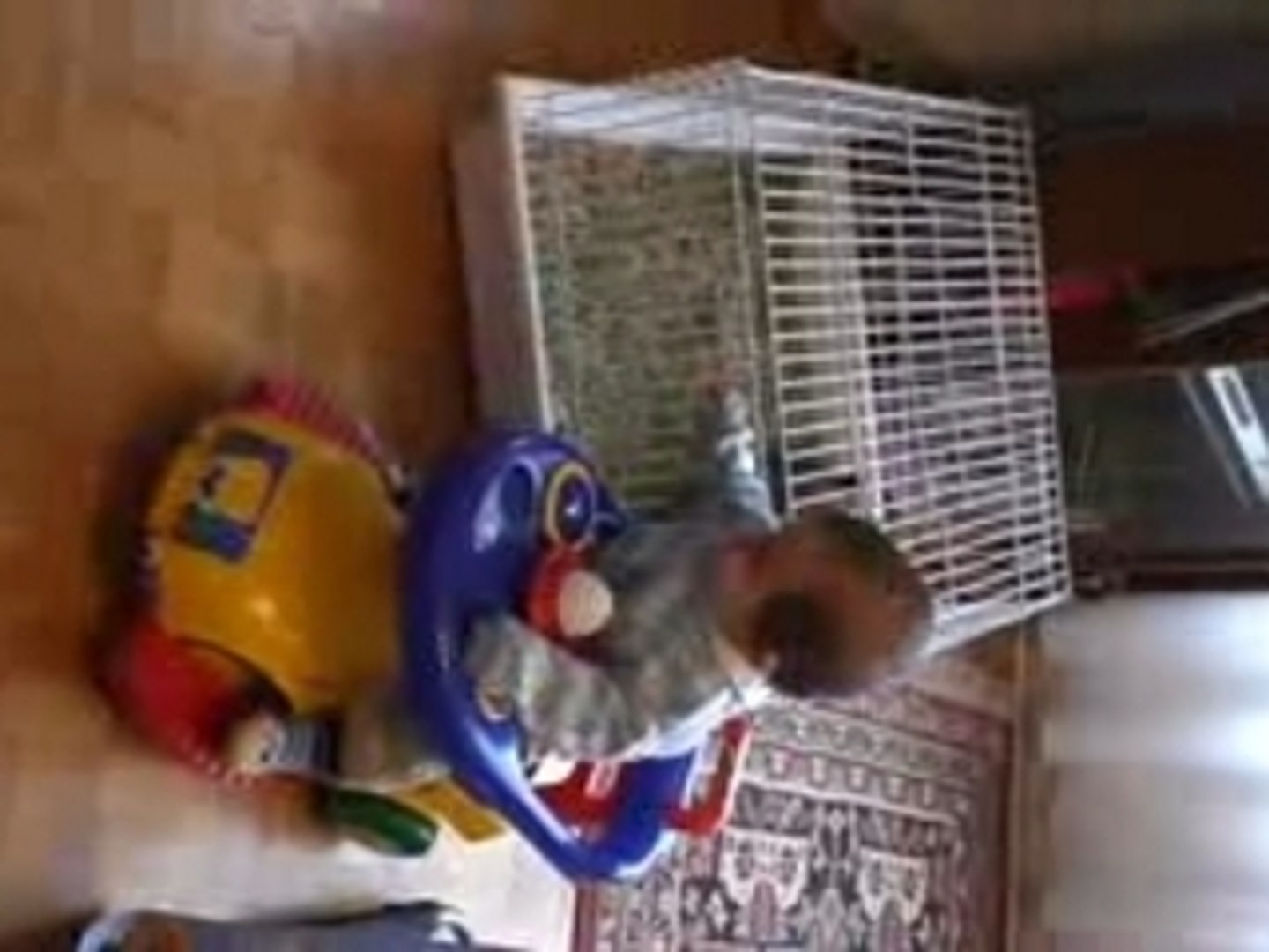 trotteur balancelle comptine