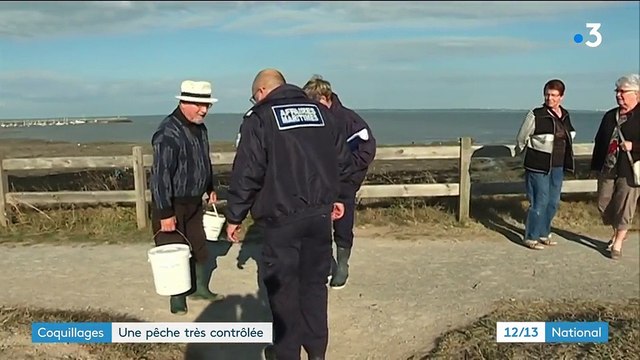 Coquillages : une pêche très contrôlée