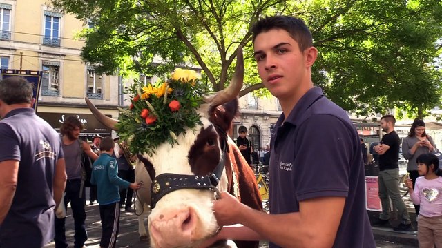 La descente des Alpes dans le centre-ville de Grenoble