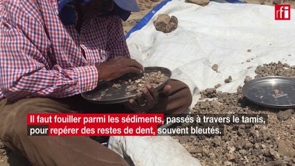 Éthiopie: une expédition sur les traces de l'humanité