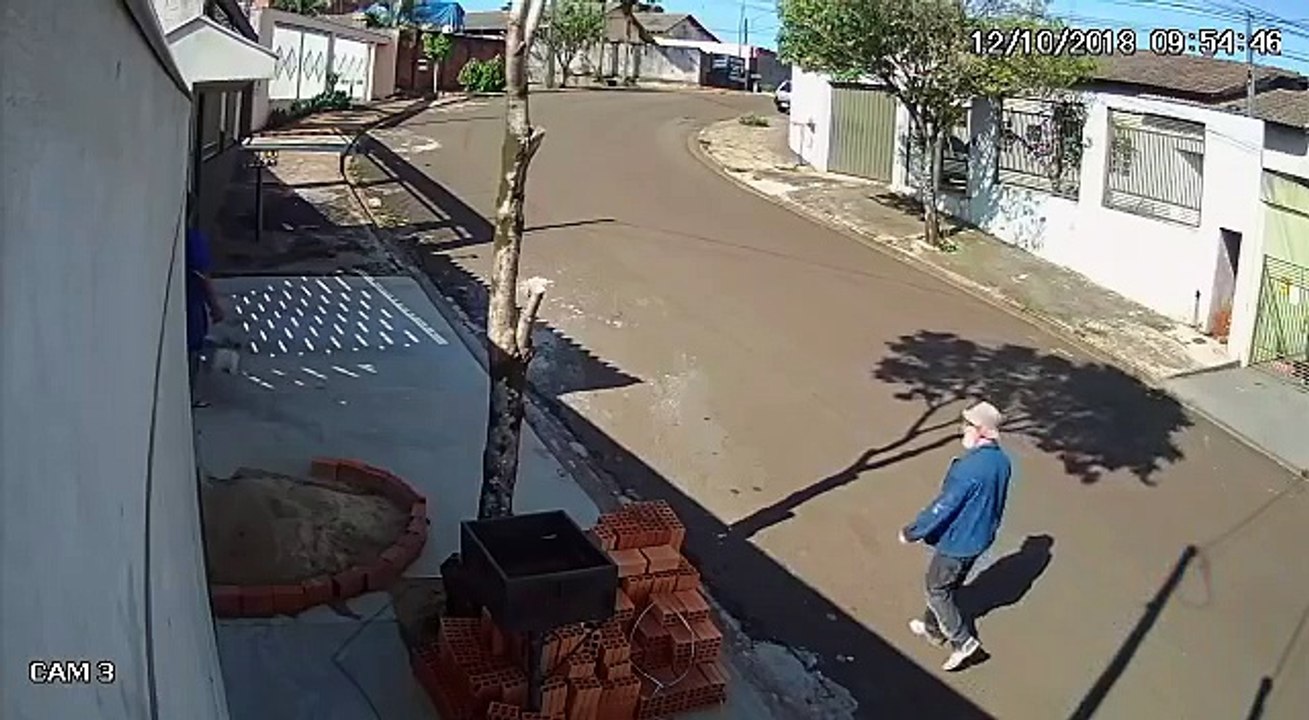 Em tentativa de assalto, carro usado por ladrões se desgoverna e colide em árvore