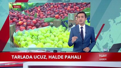 Tarlada Ucuz, Halde Pahalı