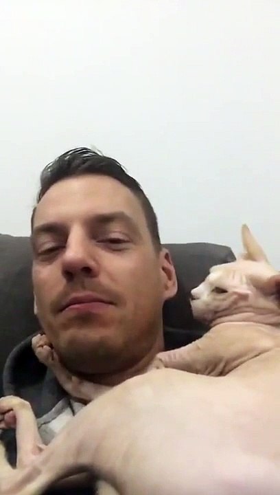 Son chat est très lunatique... Je t'aime, je t'aime plus!