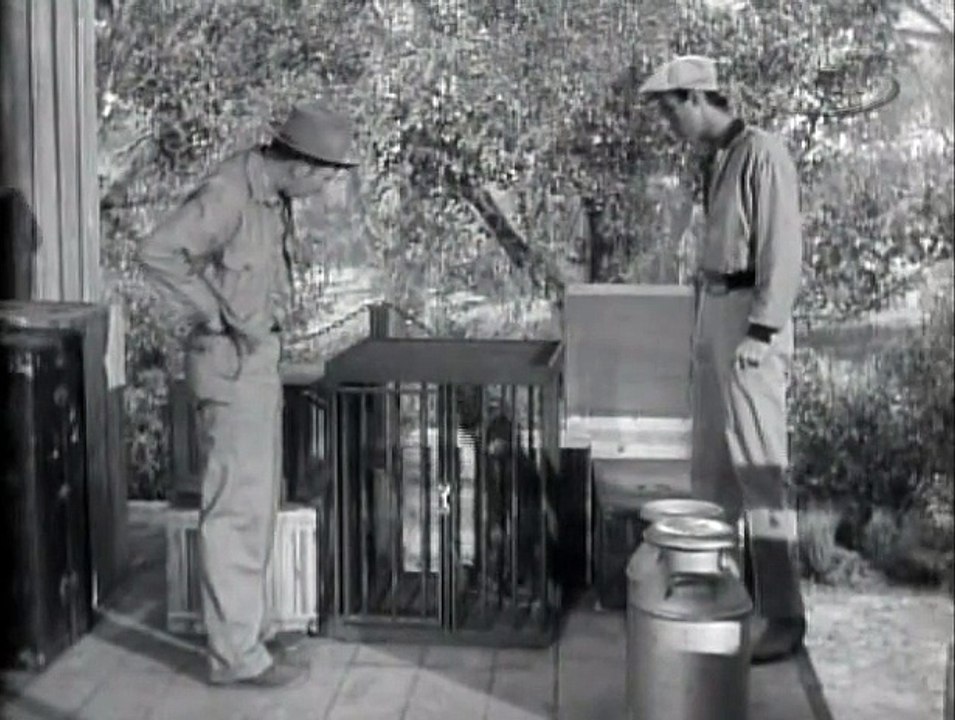 Lassie  03x22  The Chimp