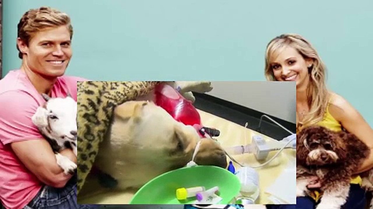 Bondi Vet S06 E01