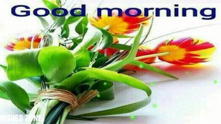 GOOD MORNING VIDEO, STATUS, GIF, IMAGES, PHOTO, WALLPAPER, WISHES, GREETINGS, MESSAGES, WHATSAPP
