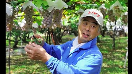 小さな旅「おらが町の葡萄（ぶどう）酒～山梨県　甲州市勝沼～」 - 18.10.14