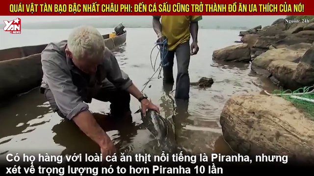 Quái vật tàn bạo bậc nhất Châu Phi: Đến cá sấu cũng trở thành đồ ăn ưa thích của nó!