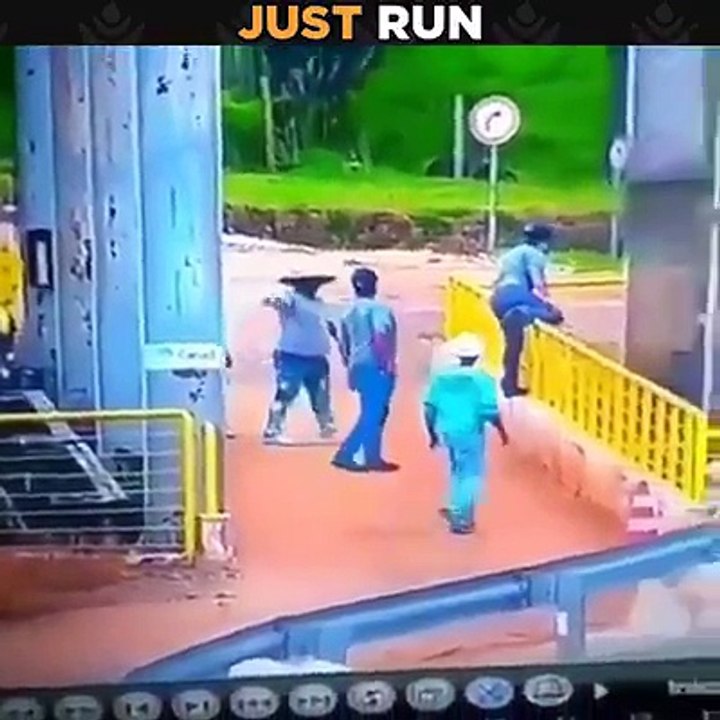 WOW! That's a huge allegator 