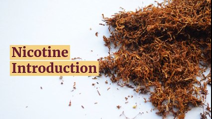 How Long Does Nicotine Last in your Body and System