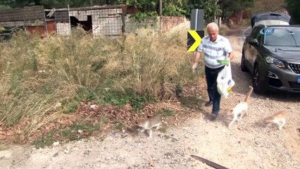 Birçok kişi öldürmeye, o yaşatmaya çalışıyor...Her gün 4 saatini sokak hayvanlarını beslemek için ayırıyor