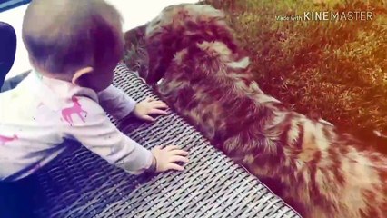 Aislinn Derbez graba a Kailani jugando con su perro