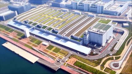 -  Tokyo'nun Yeni Balık Pazarına Ziyaretçi Akını