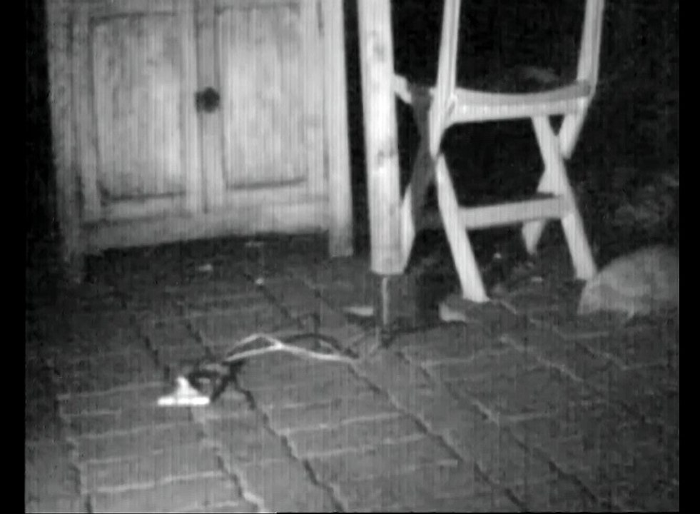 Herisson malin 14 10 2018