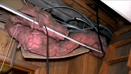 Bodies of 11 babies found hidden in former funeral home in Detroit