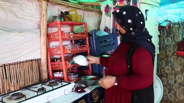 Tarım işçisi kadının çadır ile tarla arasında geçen ömrü - ADANA
