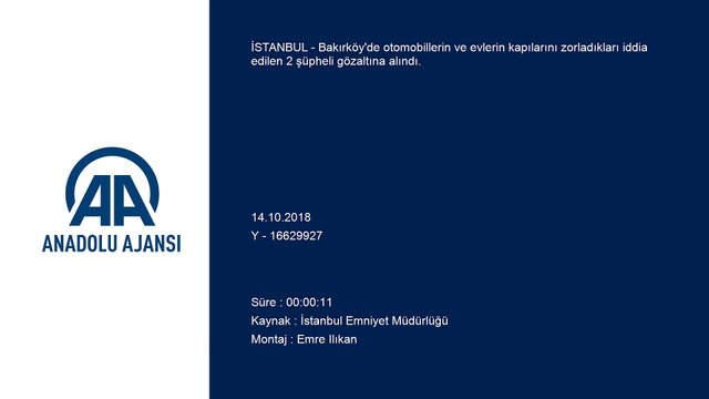 Hırsızlık şüphelileri yakalandı - İSTANBUL