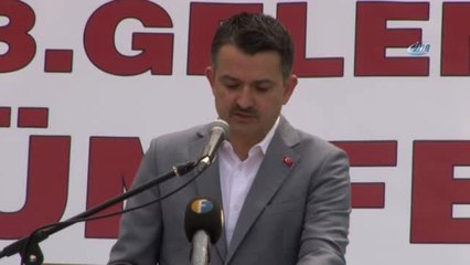 Bakan Pakdemirli'den Mısır Üreticilerine Fiyat Müjdesi