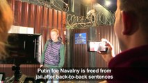 Putin foe Navalny freed from jail after back-to-back sentences
