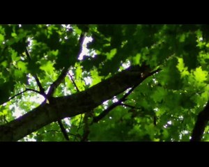 1130 Worship 14 Oct 2018