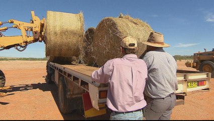Australia gives drought-stricken farms billion-dollar aid package