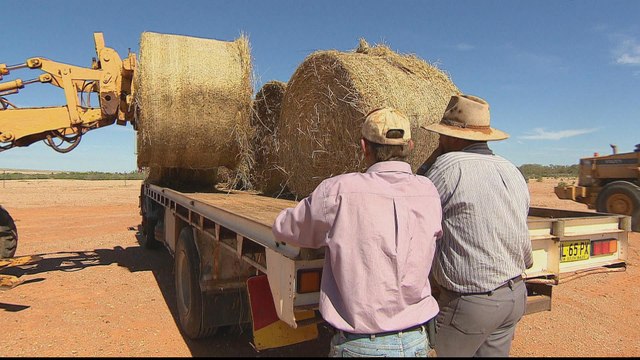 Australia gives drought-stricken farms billion-dollar aid package