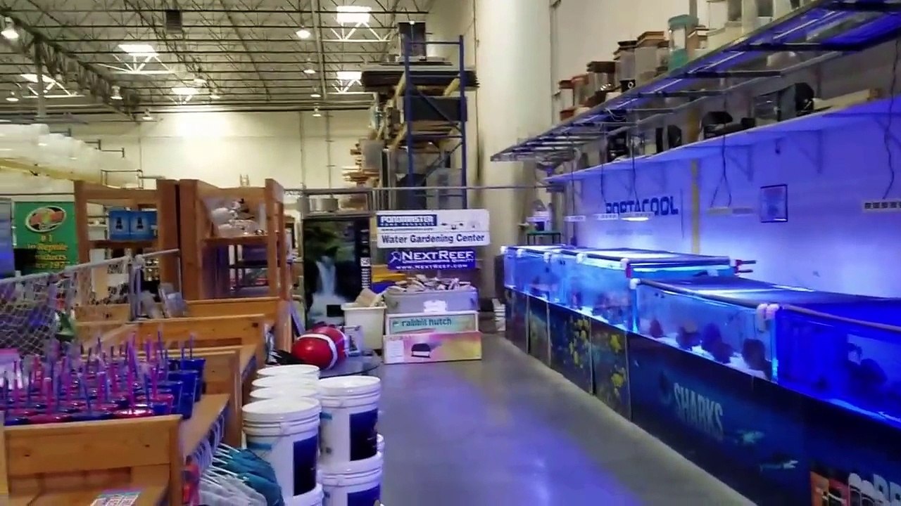 Animal Planets TANKED Shop in Las Vegas