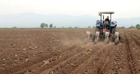 Bakan Pakdemirli'den Mısır Üreticilerine Müjde: Fiyatı Artırıldı