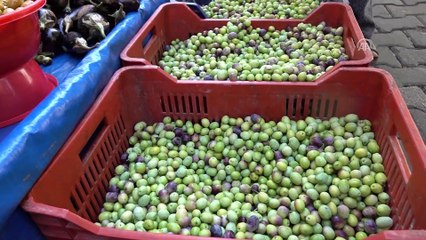 Taş ve tahtayla kırıyor, kilogramını 12 liradan satıyorlar - BALIKESİR