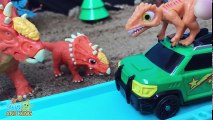 Dino Mecard Tiny dinosaur toys Learn Colors Playground Slide Water  fun play
