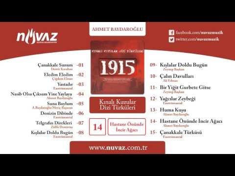 Ahmet Baydaroğlu - Hastane Önünde İncir Ağacı