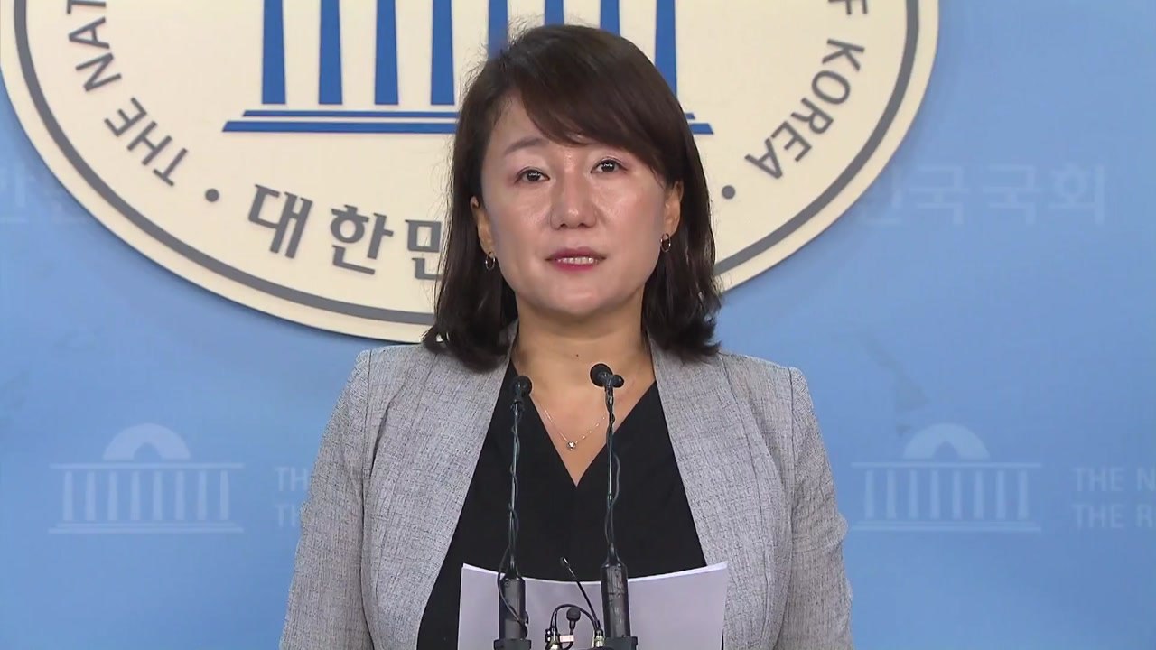정치권 "히말라야 원정대 사고 애도...수습에 최선 다해야" / YTN